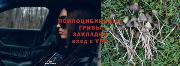 гашиш Медногорск
