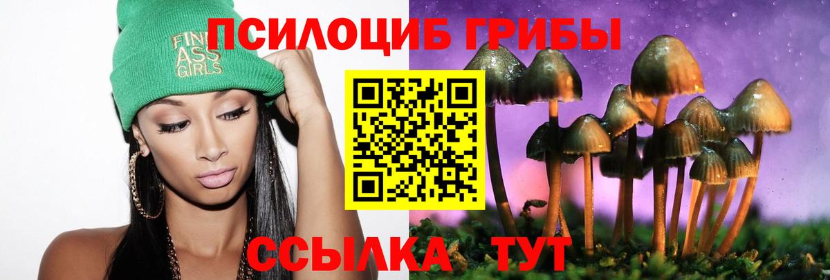 Ирбит  Псилоцибиновые грибы ЛСД  купить наркоту  Вход с VPN 