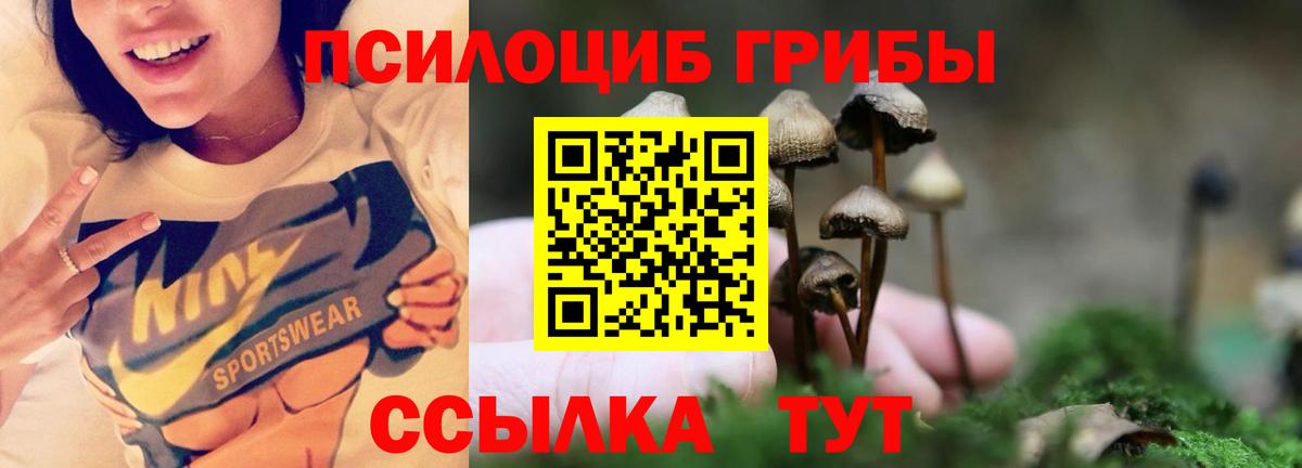 Псилоцибиновые грибы GOLDEN TEACHER  Ирбит 